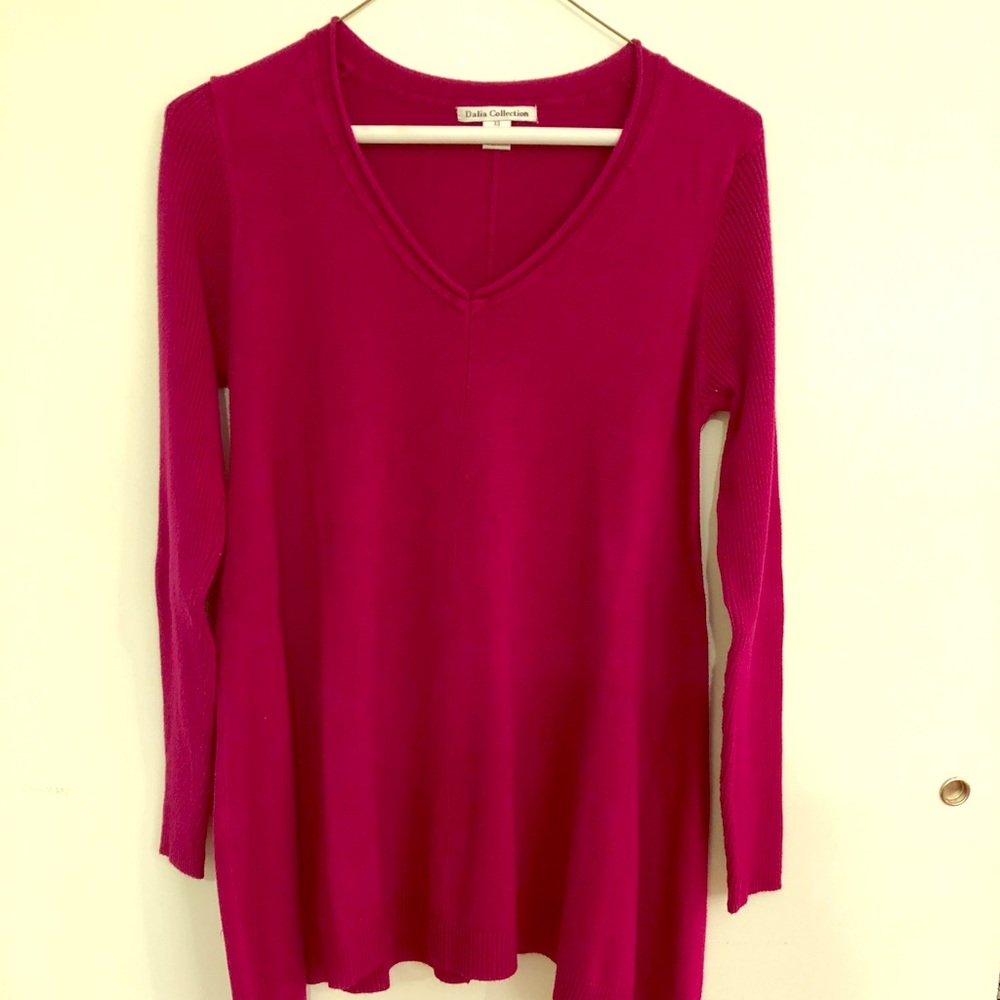 Dalia Collection Cranberry Tunic